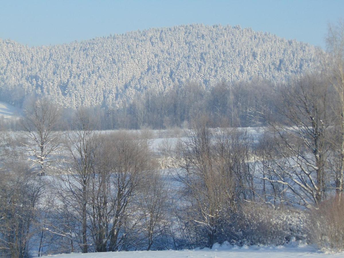 Villa Pod Roza Kasina Wielka Esterno foto